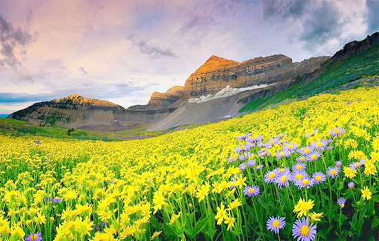 badrinath with valley of flower package